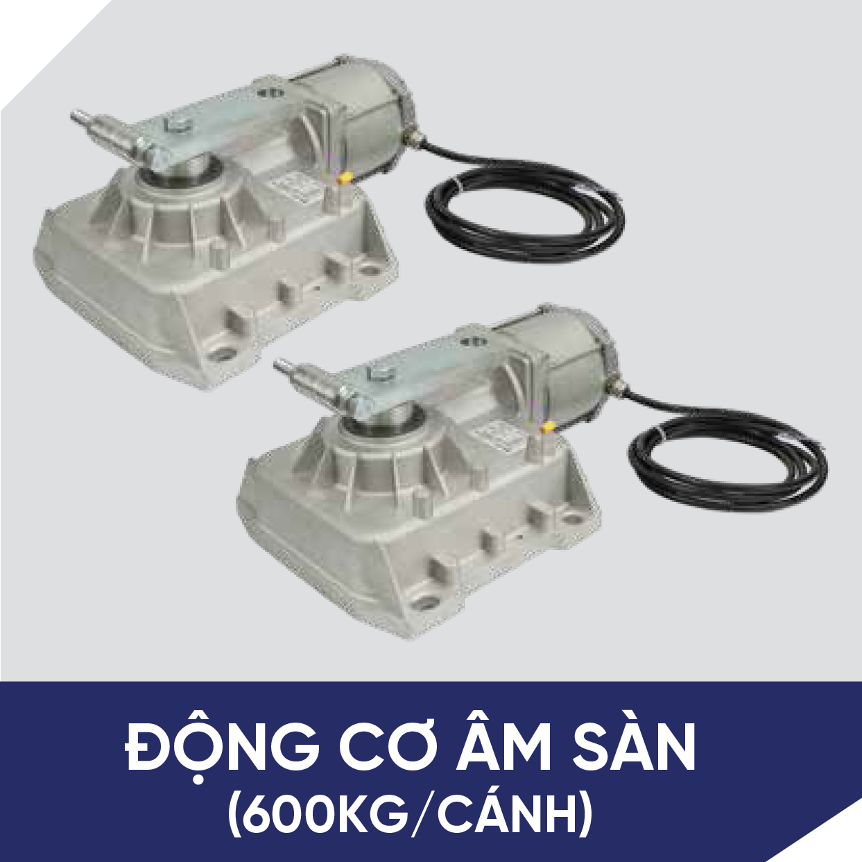 Cổng âm sàn Ruster 24V_600 Kg /Cánh