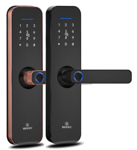 Khóa cửa Gỗ_F21B
