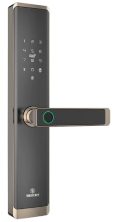 Khóa cửa Gỗ_F38B