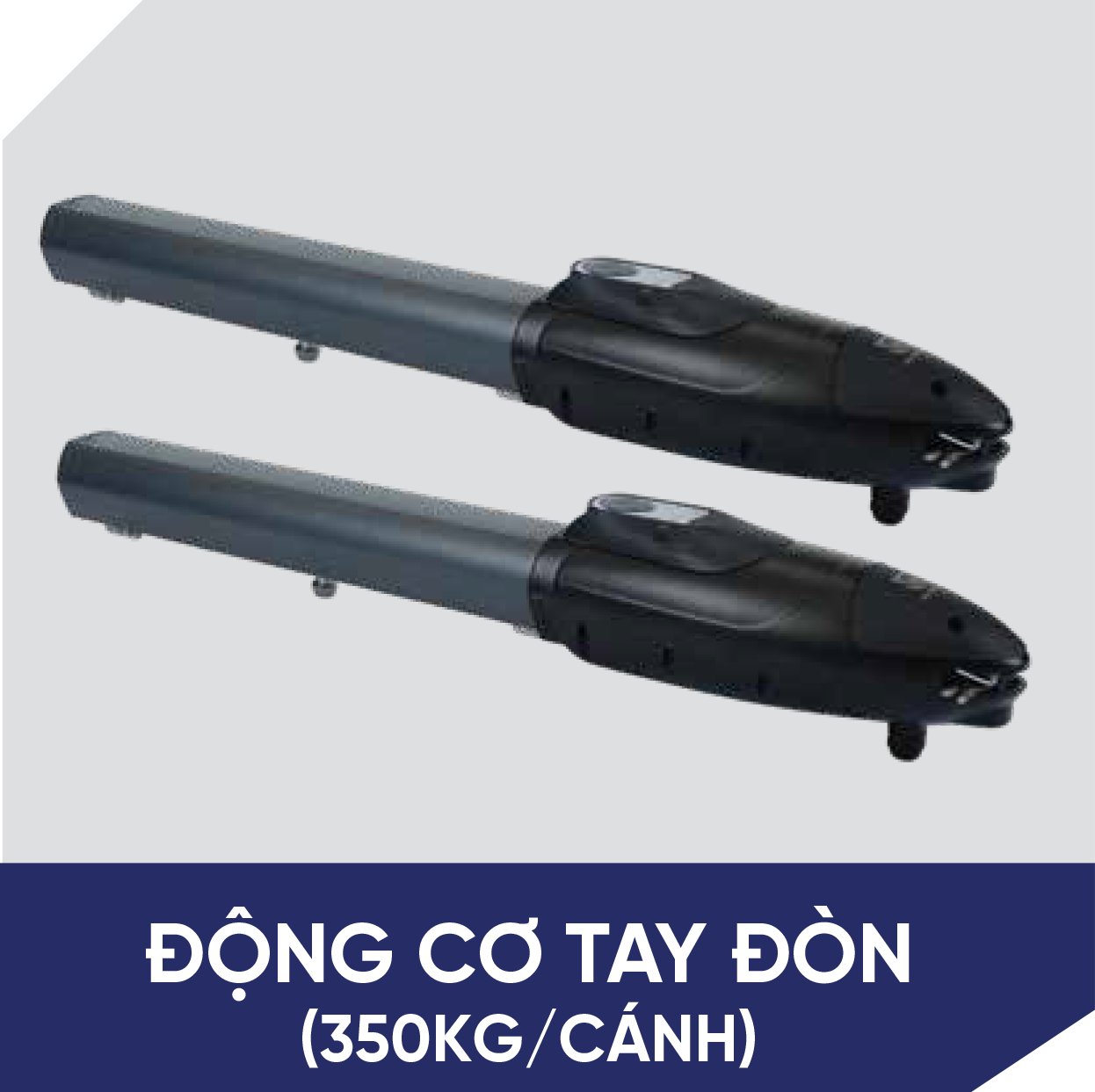 Cổng tay đòn Ruster 24V _350 Kg /Cánh