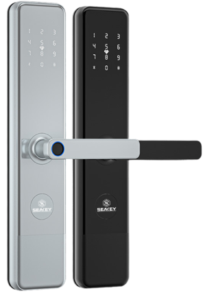 Khoá cửa Gỗ_F31B